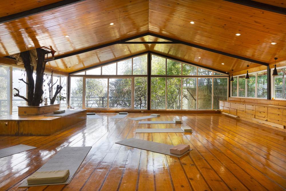 Wooden yoga shala with forest views