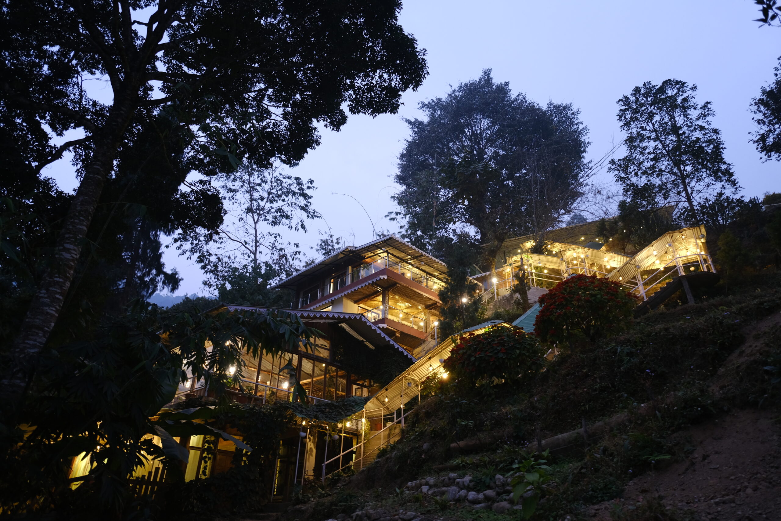 Dunagiri Himalaya forest yoga retreat