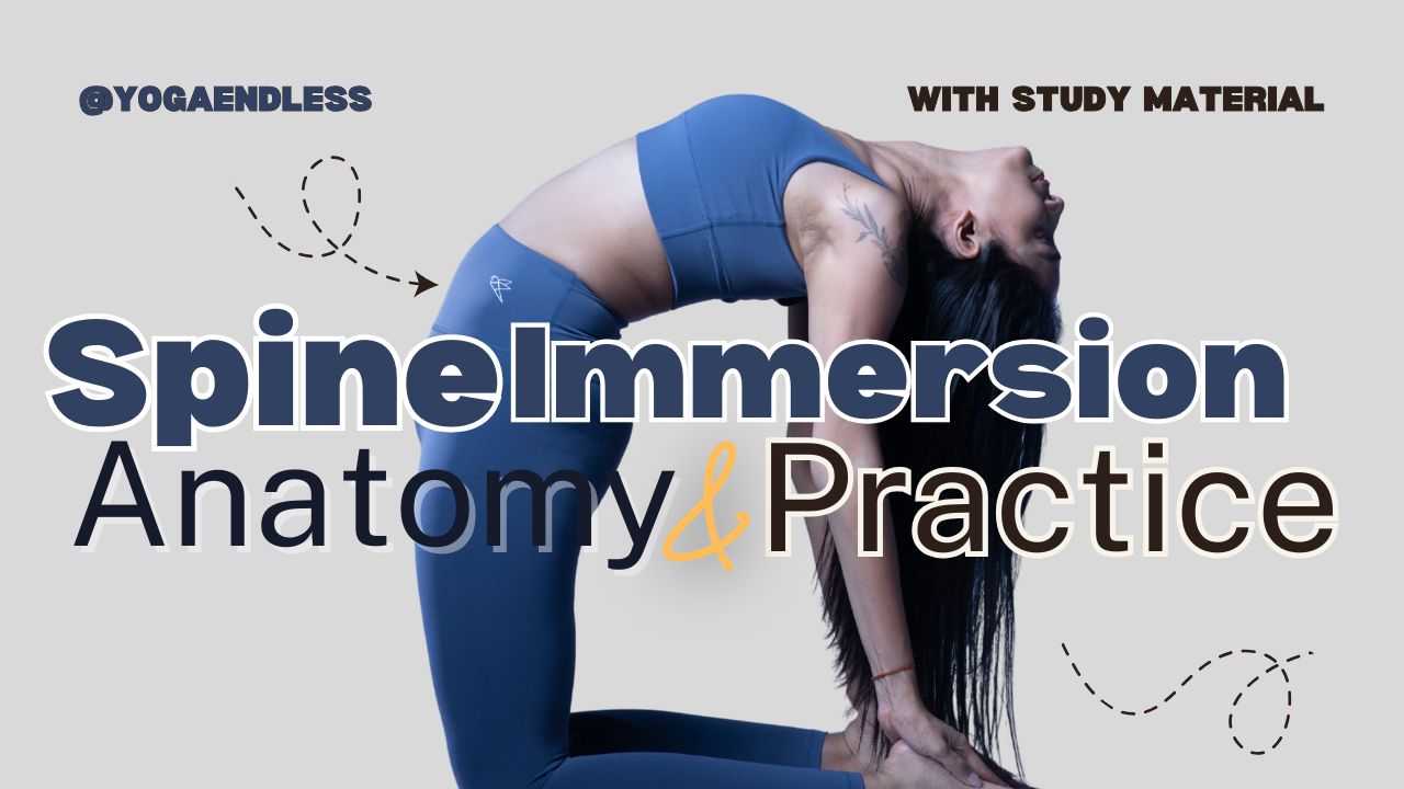 Spine Immersion