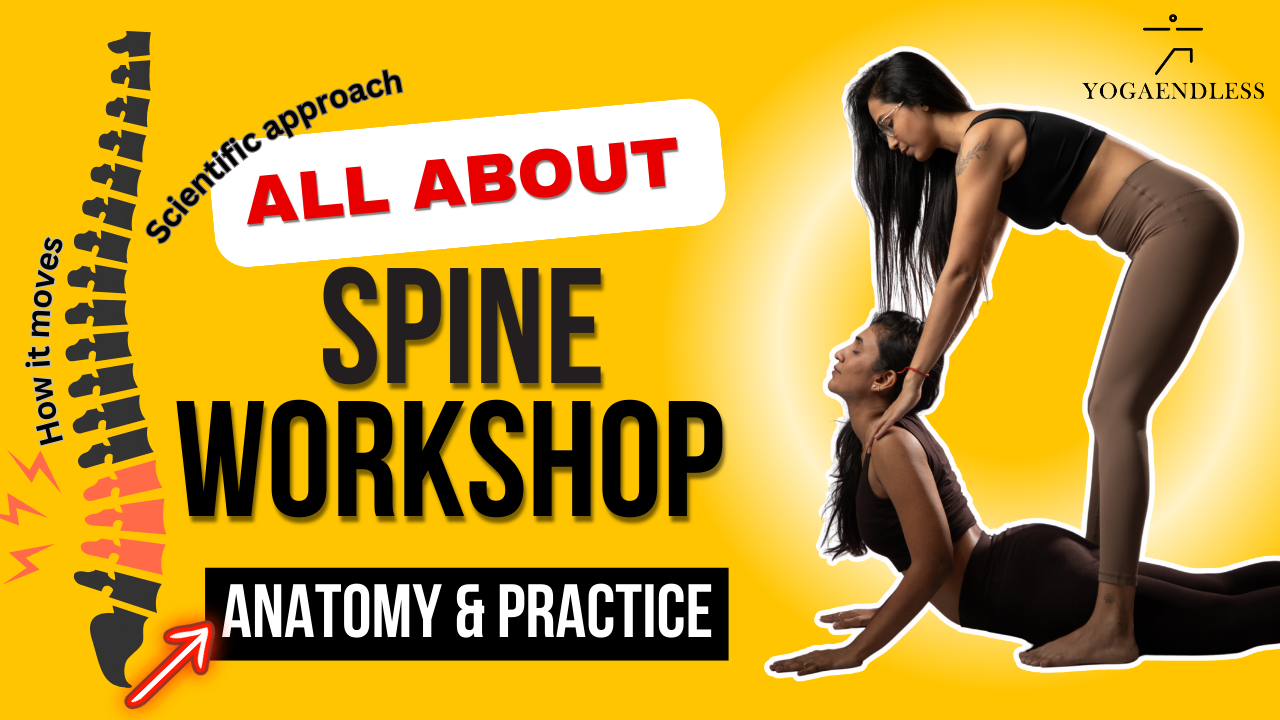 Spine Immersion